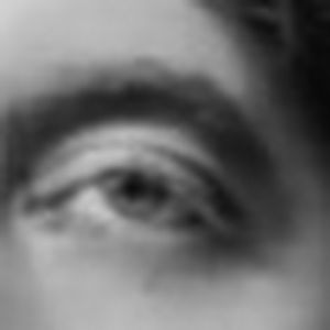 Meet your Posher, Delight